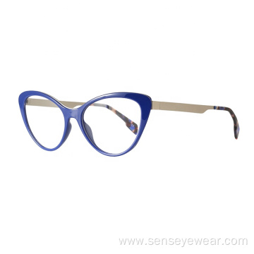 TR90 Metal Mixed Stainless Steel Glasses Frame Eyeglass